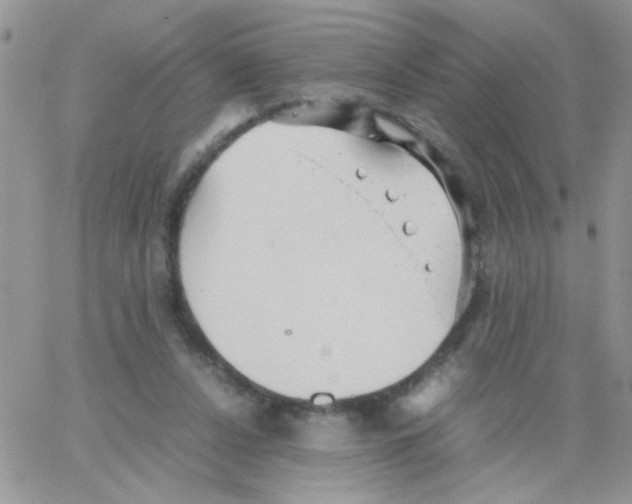 X0000064040256200602242328