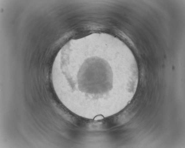 X0000064040257200602242328