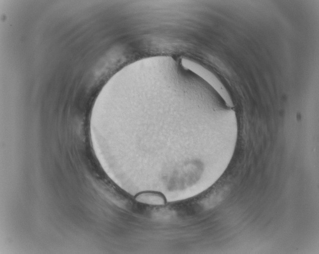 X0000064040258200602242328