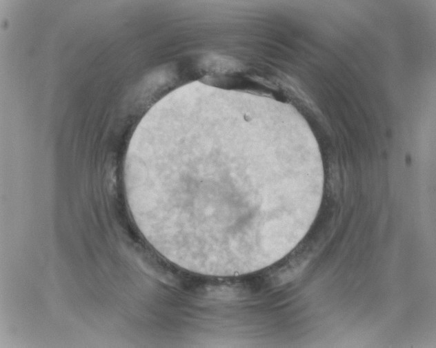 X0000064040259200602242328