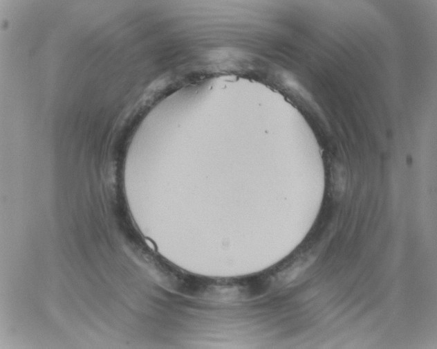 X0000064040260200602242328