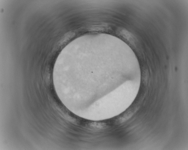 X0000064040261200602242328