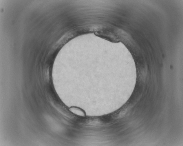 X0000064040262200602242328