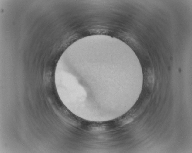 X0000064040263200602242328