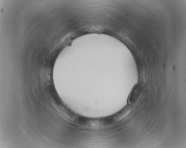 X0000064040264200602242328