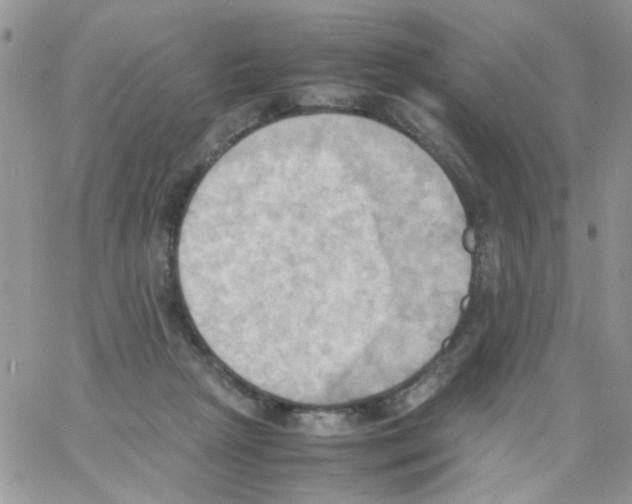 X0000064040265200602242328