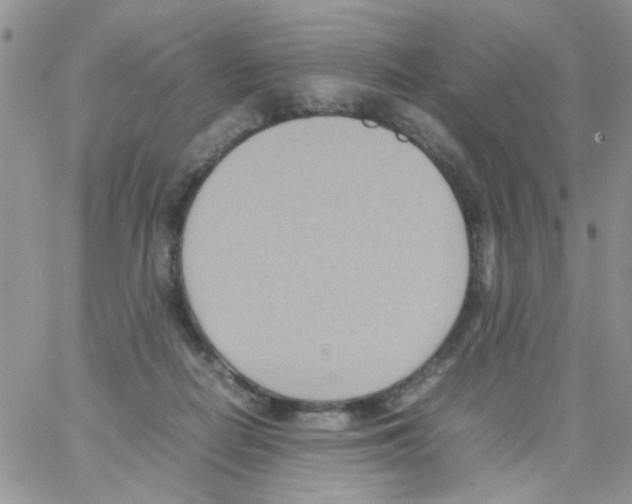 X0000064040266200602242328