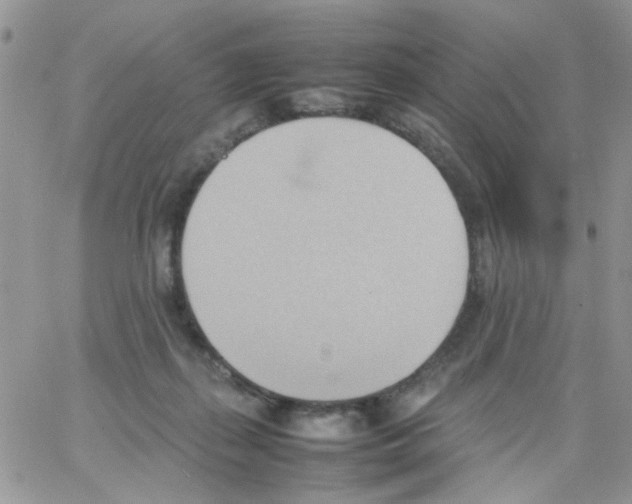 X0000064040267200602242328