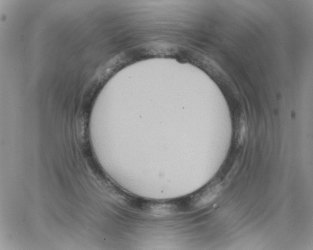 X0000064040268200602242328