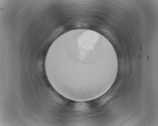 X0000064040269200602242328