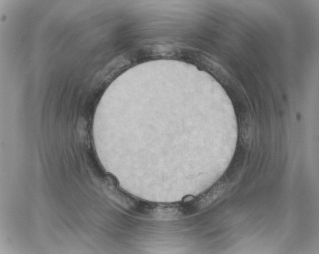 X0000064040270200602242328