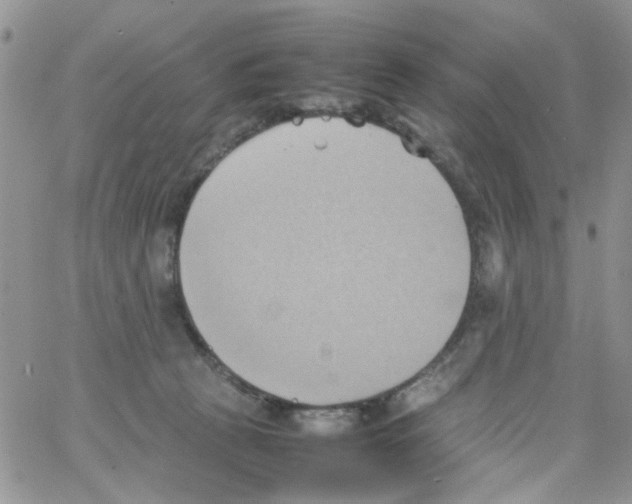 X0000064040273200602242328