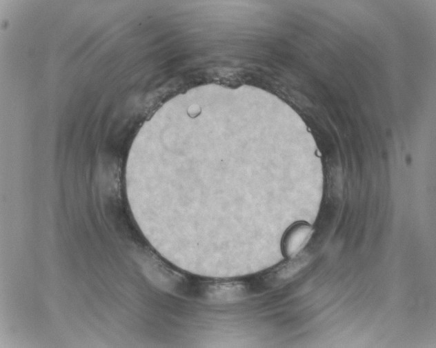 X0000064040274200602242328