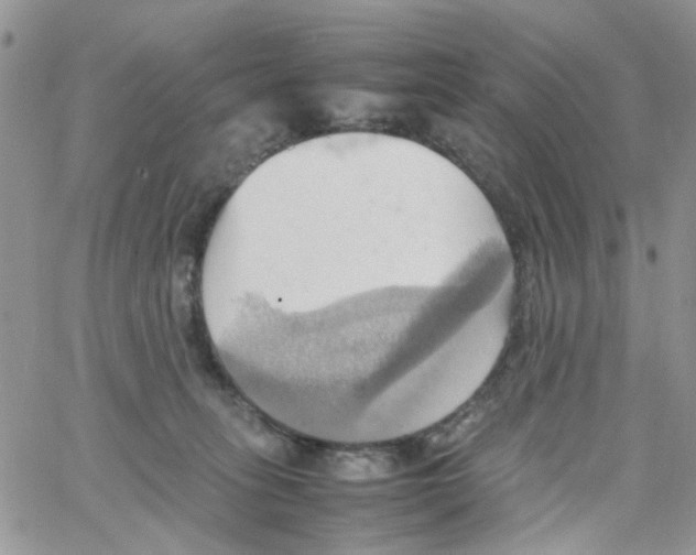 X0000064040275200602242328