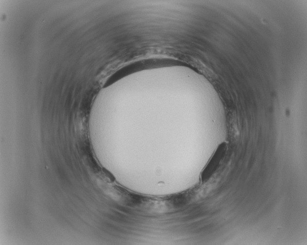 X0000064040276200602242328