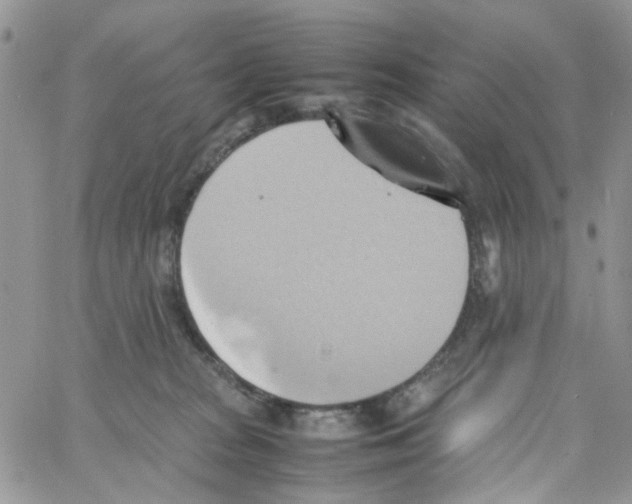 X0000064040277200602242328