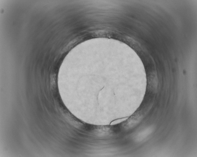 X0000064040278200602242328