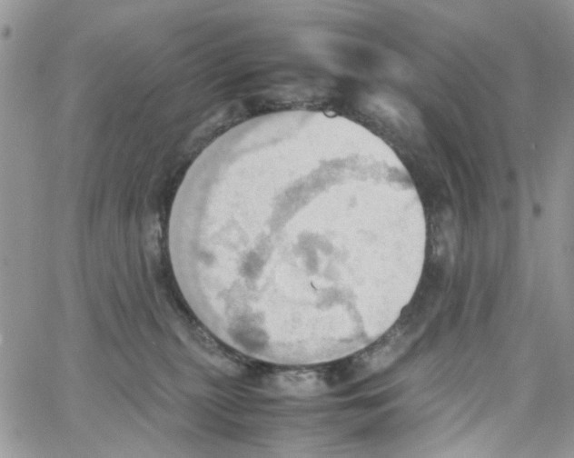 X0000064040279200602242328