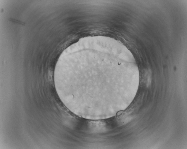 X0000064040281200602242328