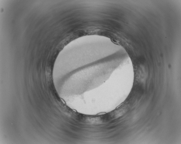 X0000064040283200602242328