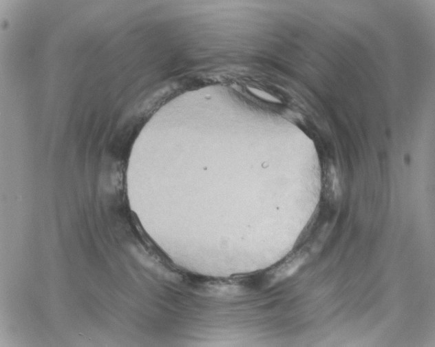 X0000064040284200602242328