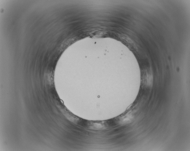 X0000064040285200602242328