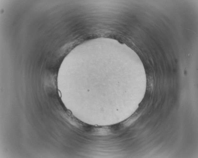 X0000064040286200602242328