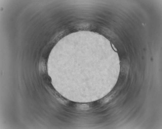 X0000064040287200602242328