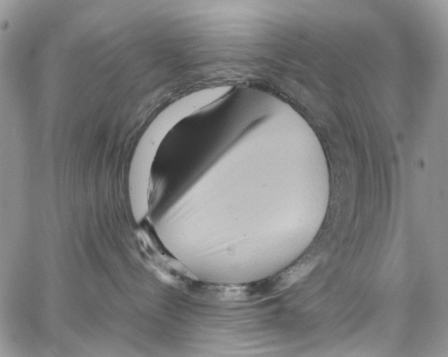 X0000064040288200602242328