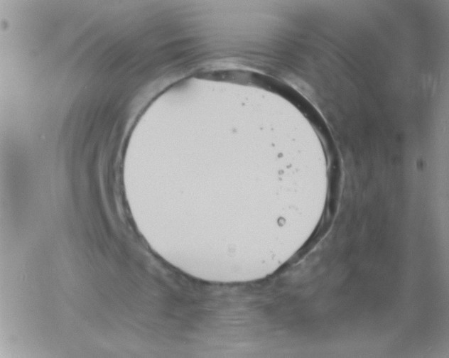 X0000064040289200602242327