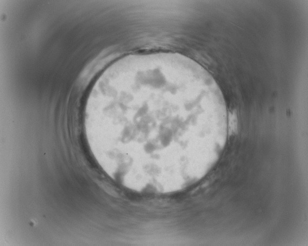 X0000064040291200602242327