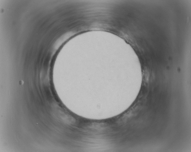 X0000064040292200602242327