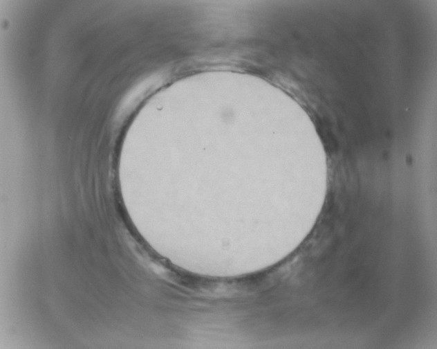 X0000064040293200602242327