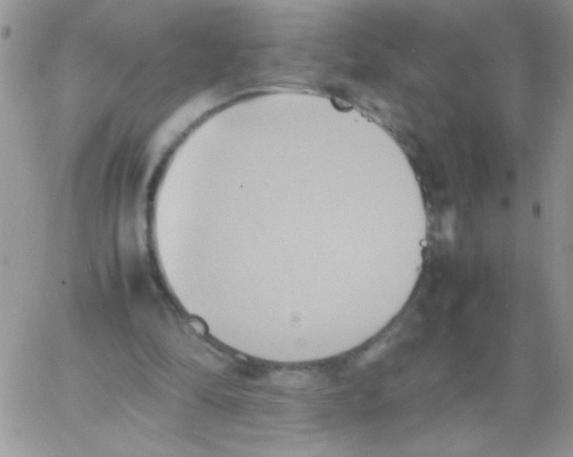 X0000064040294200602242327