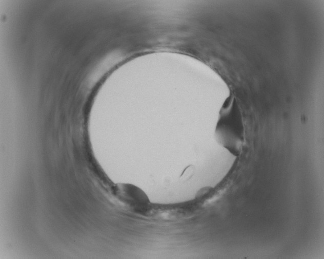 X0000064040295200602242327