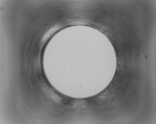 X0000064040296200602242327