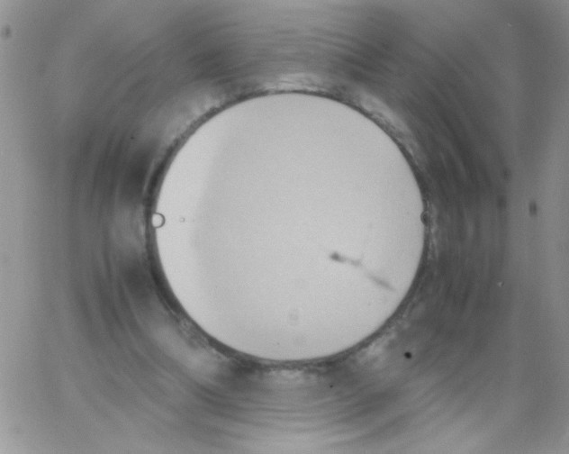 X0000064040298200602242327