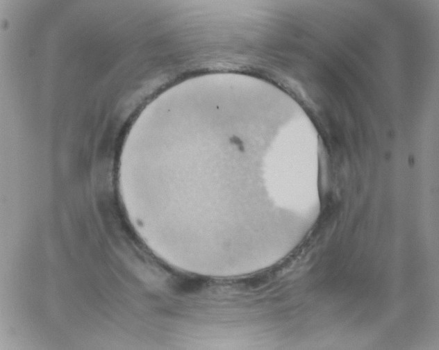 X0000064040299200602242327