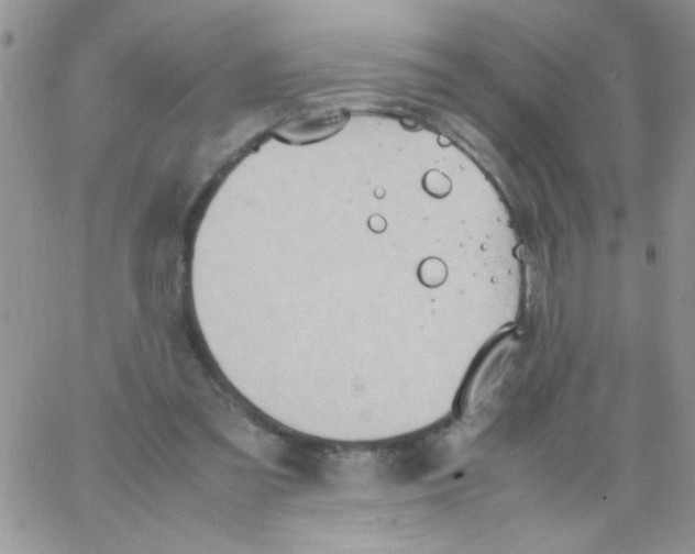 X0000064040301200602242327