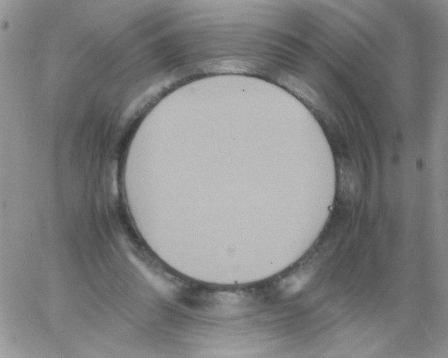 X0000064040302200602242327