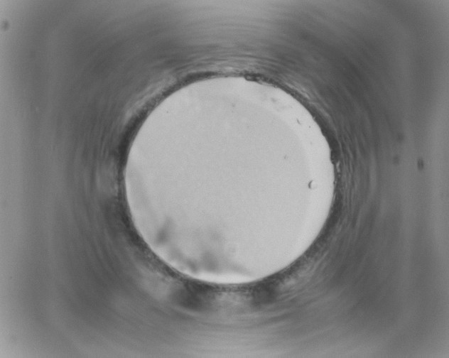 X0000064040303200602242327