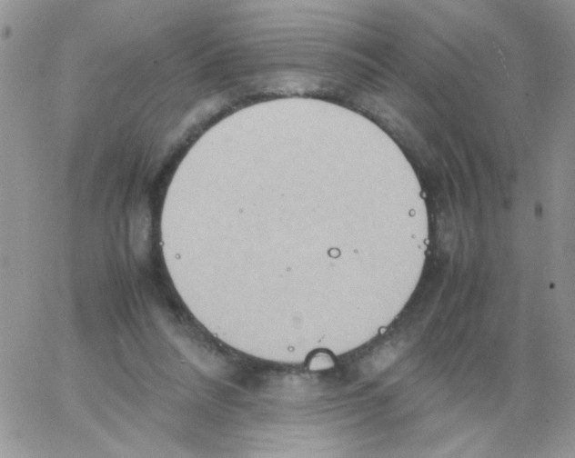 X0000064040304200602242327