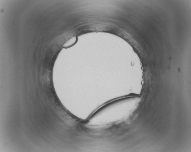 X0000064040305200602242327