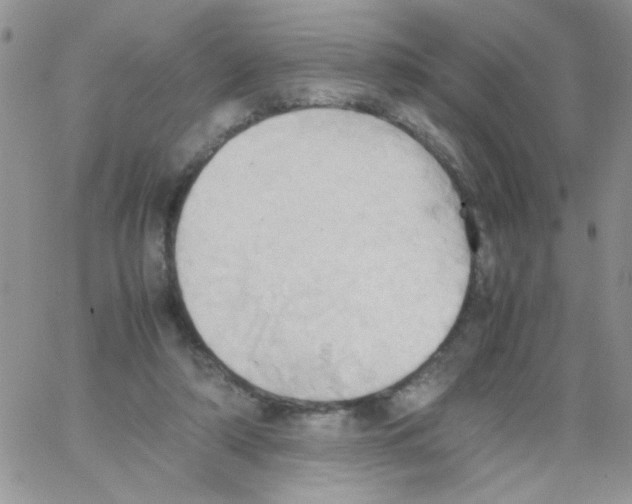 X0000064040306200602242327