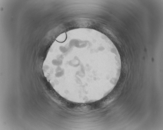 X0000064040307200602242327