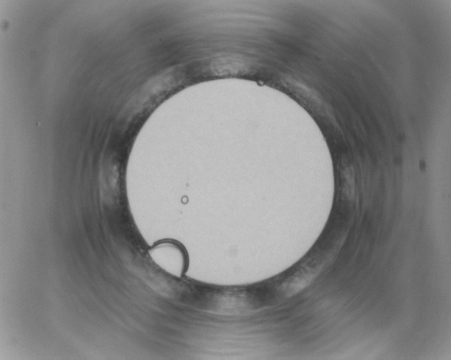 X0000064040308200602242327