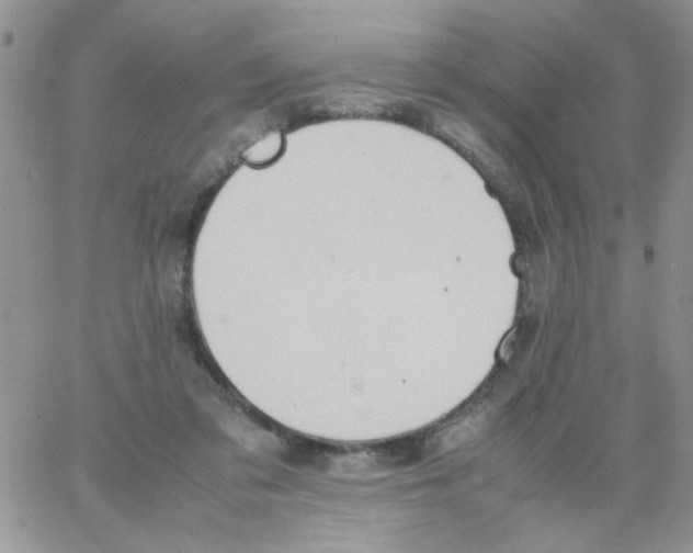 X0000064040309200602242327