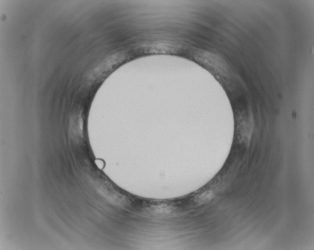 X0000064040310200602242327