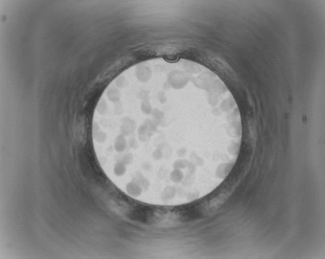 X0000064040311200602242327