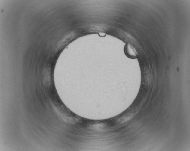 X0000064040312200602242327